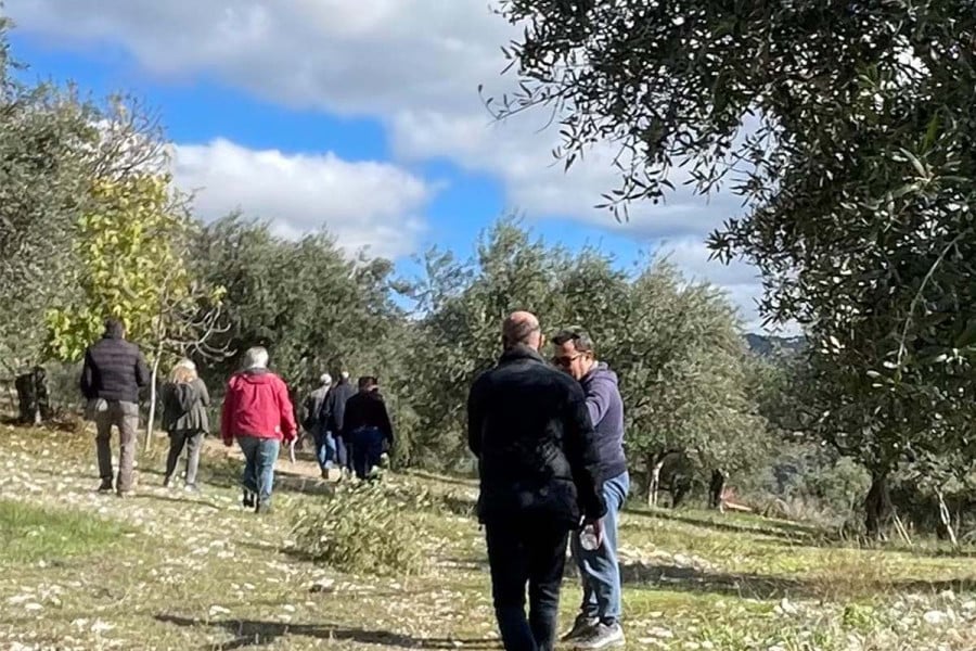 Ζαχάρω: Αυτοψία στις πληγείσες από το χαλάζι περιοχές από κλιμάκια του ΕΛΓΑ και του Δήμου