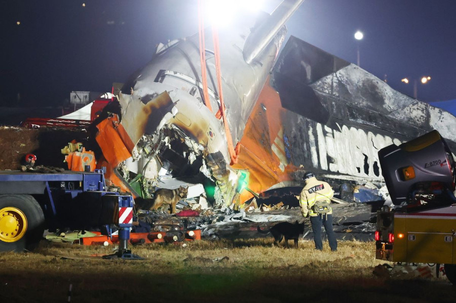 Νότια Κορέα: Ανατροπή με τη συντριβή του Boeing 737 - «Δεν ευθύνονται τα πουλιά» λένε οι ειδικοί