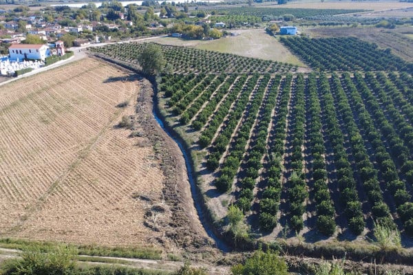 Καθαρισμοί στην περιοχή της Αρετής από την Περιφέρεια Δυτικής Ελλάδας