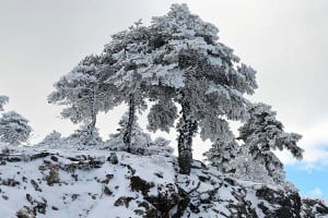 Έκτακτο δελτίο επιδείνωσης από ΕΜΥ: Βροχές, καταιγίδες και χιονοπτώσεις