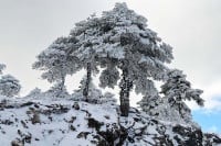 Κακοκαιρία Elena: Πού θα πέσουν τα περισσότερα χιόνια