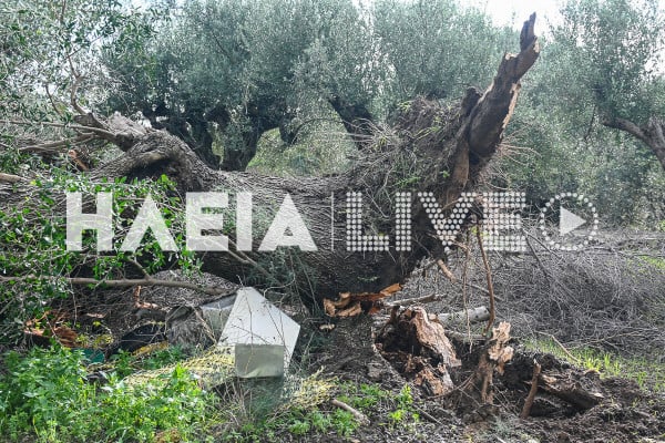 Αγ. Ηλίας Πύργου: Ανεμοστρόβιλος προκάλεσε ζημιές τα ξημερώματα της Κυριακής