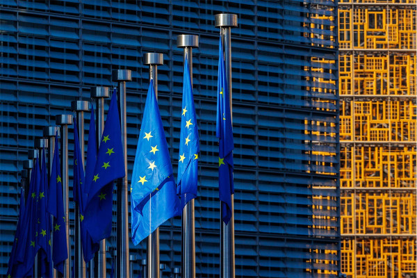 Ευρωπαϊκό Κοινοβούλιο: Αναστέλλονται οι εμπορικές συμφωνίες ΕΕ-ΗΠΑ μέχρι να σταματήσουν οι απειλές Τραμπ για Γροιλανδία