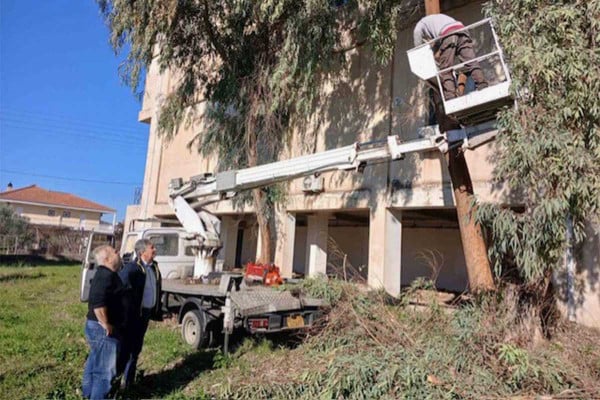 Παρέμβαση του δασαρχείου για τα επικίνδυνα δέντρα στην ΕΡΤ Πύργου