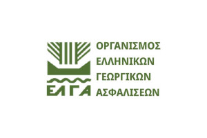 ΕΛΓΑ: Πιστώνονται 30 εκατ. ευρώ για εκκαθάριση πορισμάτων που αφορούν σε ζημιές φυτικής παραγωγής και ζωικού κεφαλαίου του 2024