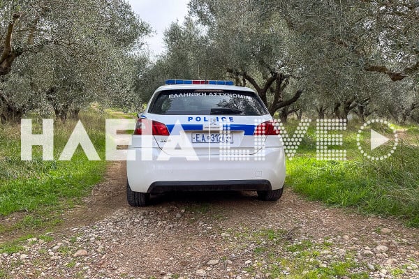 Ηλεία: Δύο συλλήψεις για ζωοκλοπή και αποδοχή προϊόντων εγκλήματος