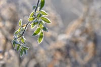 Ηλεία: Με κρύο τα Χριστούγεννα