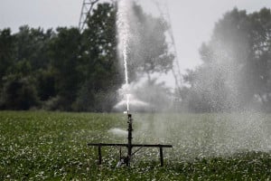 Νέο πρόγραμμα άρδευσης στη Ζώνη Πηνειού Ηλείας