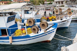 Θαλασσινά: Γιατί τρύπησε το δίχτυ στην κατανάλωση – Πόσα ξοδεύουμε το χρόνο