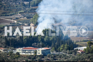 Καράτουλα: Συναγερμός στην Πυροσβεστική για δασική πυρκαγιά δίπλα στο γυμνάσιο - Κάηκαν δύο στρέμματα