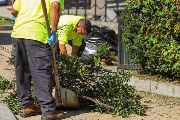 Αρχαία Ολυμπία: Ξεκινούν καθαρισμοί σχολικών αυλών και κλαδέματα επικίνδυνων δέντρων