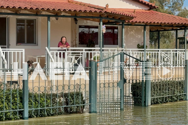 Βαρθολομιό: Πλημμύρισαν κατοικίες και καλλιέργειες μετά την ελεγχόμενη απελευθέρωση από το Φράγμα Πηνειού (photos & video)