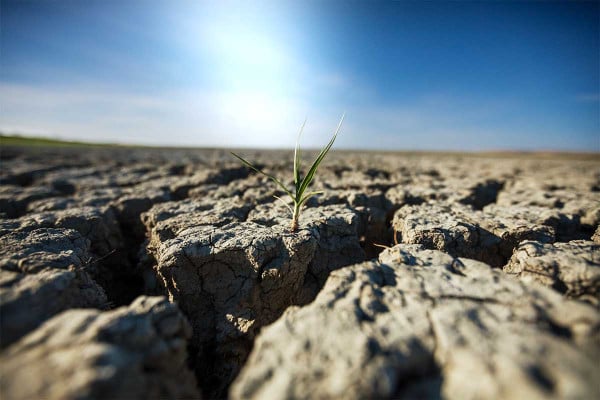 COP16: Σχεδόν 300 δισ. ευρώ ετησίως το κόστος των ξηρασιών στον κόσμο, προειδοποιεί ο ΟΗΕ