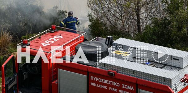 Πυροσβεστική: 29 πυρκαγιές το τελευταίο 24ωρο - Υπό μερικό έλεγχο η φωτιά στα Καλύβια Θορικού